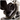 Screen_Shot_2021-01-08_at_12.46.42_PM