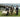 our-fibers-shropshire-sheep