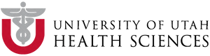 VA Logo