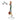 Muscle Spine with Disorders CH5900